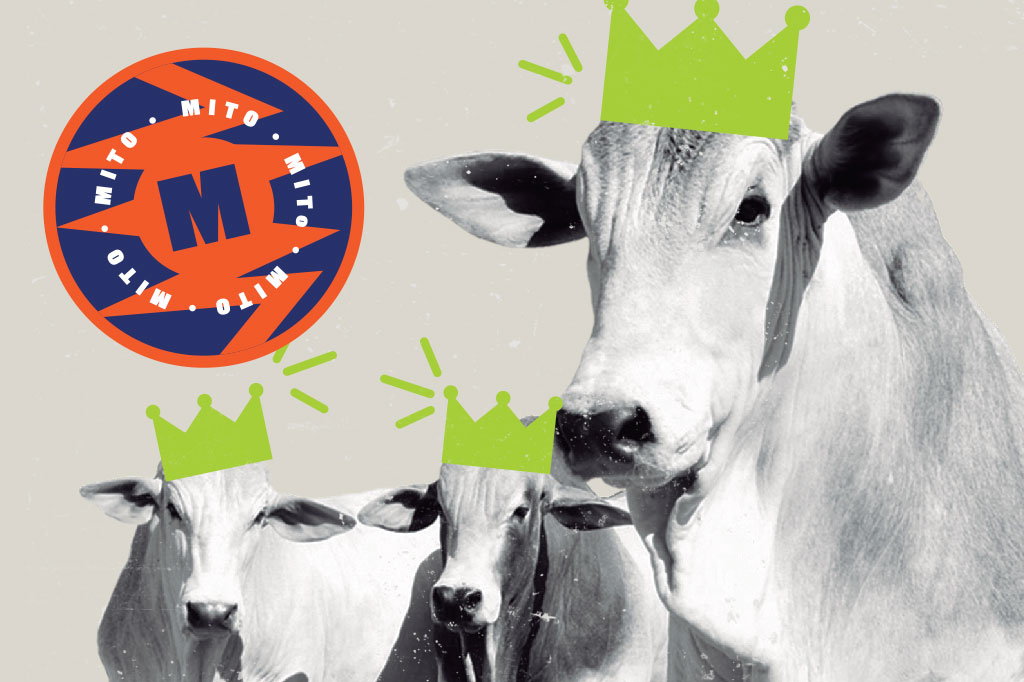 SI_60_mitos_alimentacao_Cap2_3