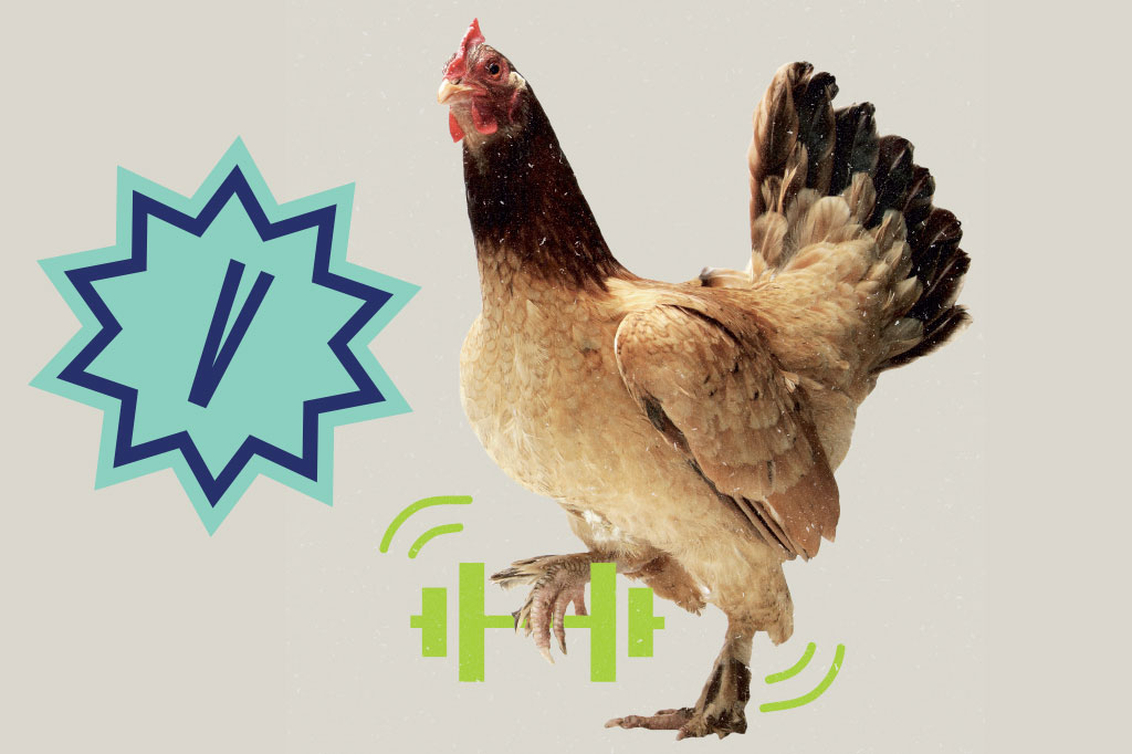 SI_60_mitos_alimentacao_Cap2_4