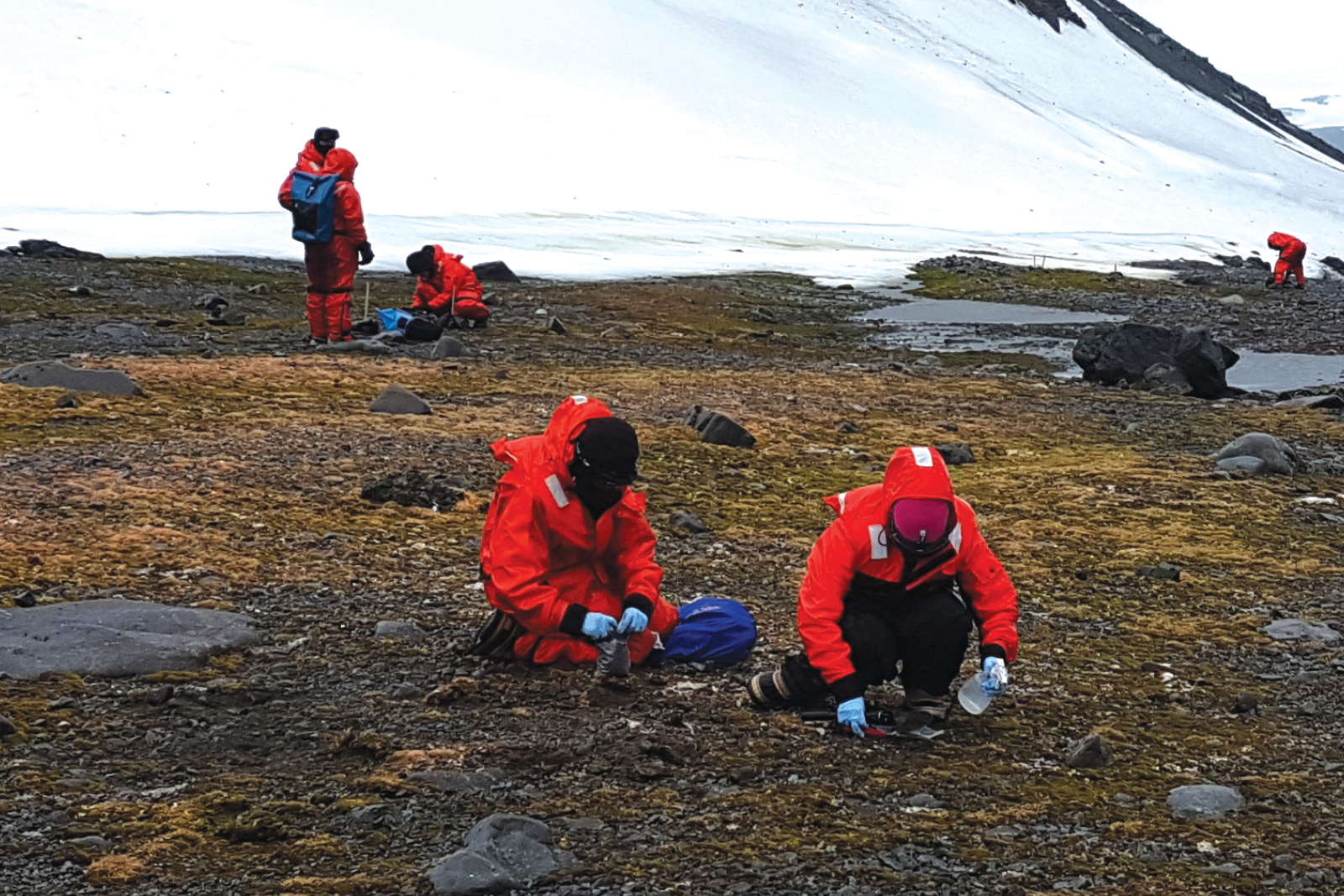 Pesquisadores recolhem microrganismos no permafrost.