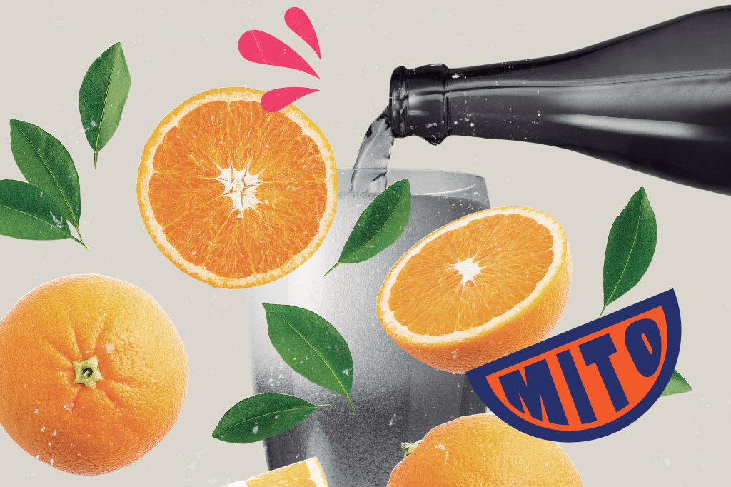 SI_60_mitos_alimentacao_Cap5_3