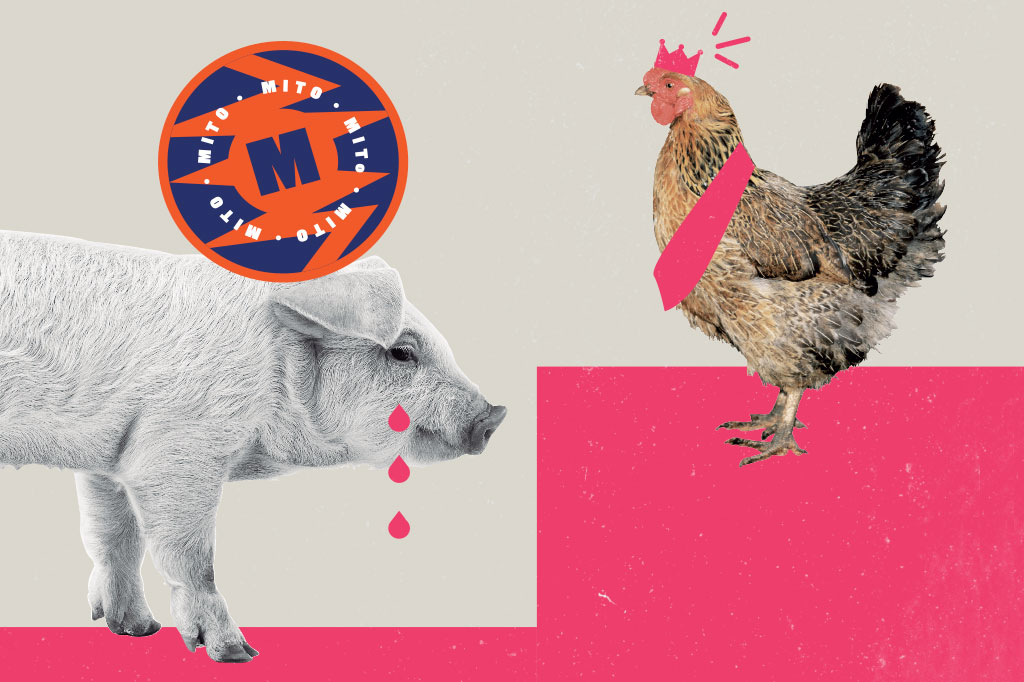 SI_60_mitos_alimentacao_Cap5_5