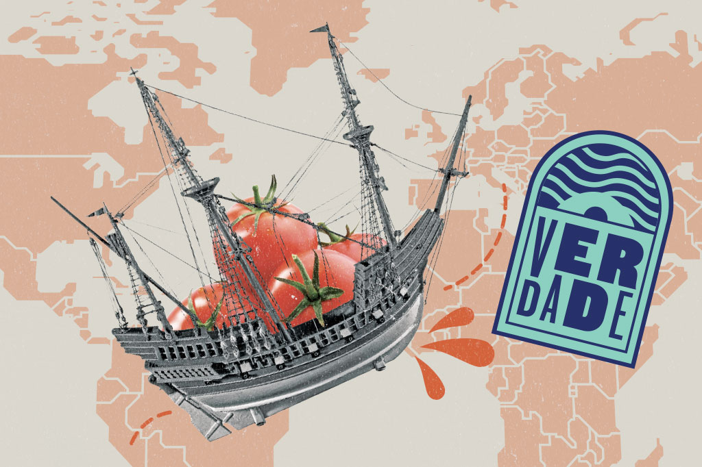 SI_60_mitos_alimentacao_Cap6_1