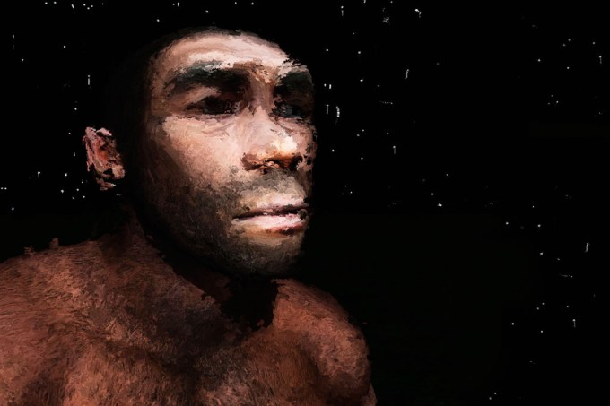 SI_homem_de_neanderthal