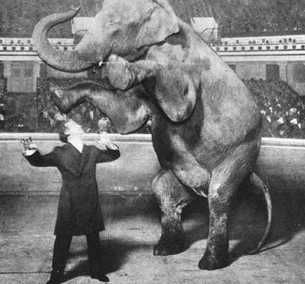 <strong>Houdini fez a elefanta Jenny desaparecer, em 1918.</strong>