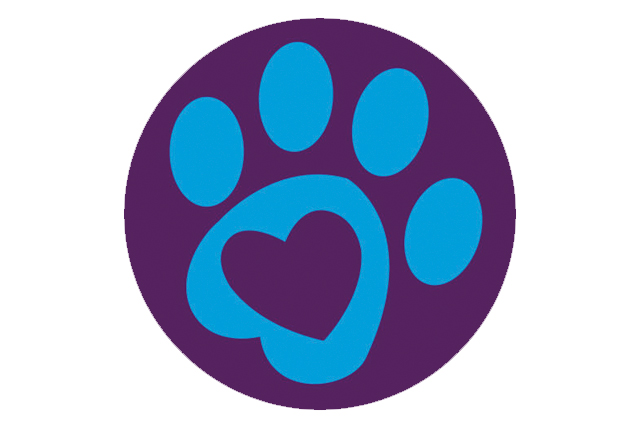 SI_MundoCao_Gadgets_4