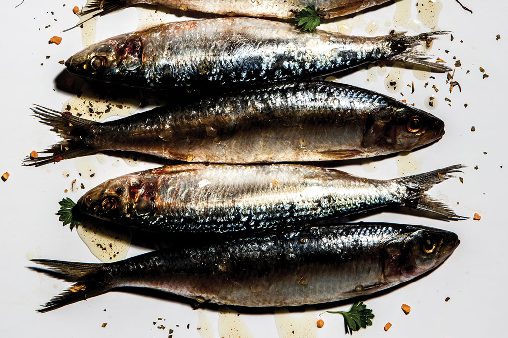 Da sardinha ao salmão: por que o apetite do brasileiro por peixe cresceu