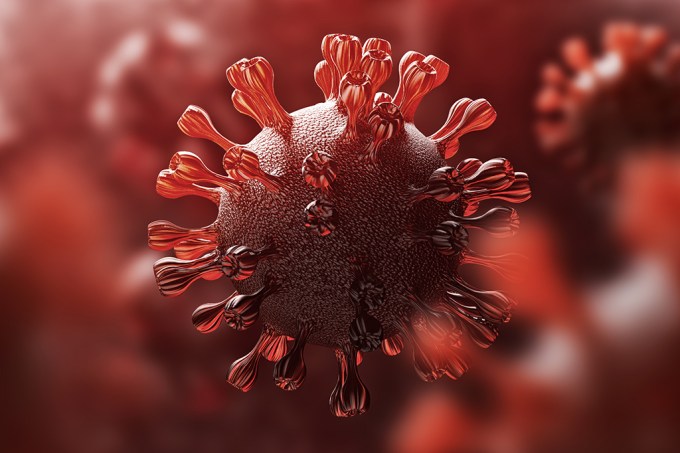 Pesquisa indica influência de tipo sanguineo na resposta imune ao coronavírus