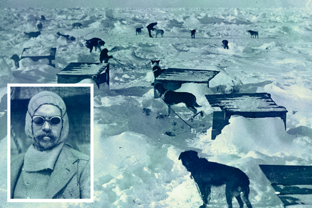 SI_Shackleton_Odisseia_Dogs2 <strong>“Preferia matar a tiros muitos homens que conheço a sacrificar o pior daqueles cães.” – Frank Wild, segundo no comando, sobre a necessidade de comer os cachorros da tripulação para sobreviver.</strong>