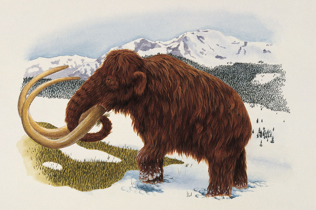 Ossada de mamute com 10 mil anos é encontrada em lago na Sibéria