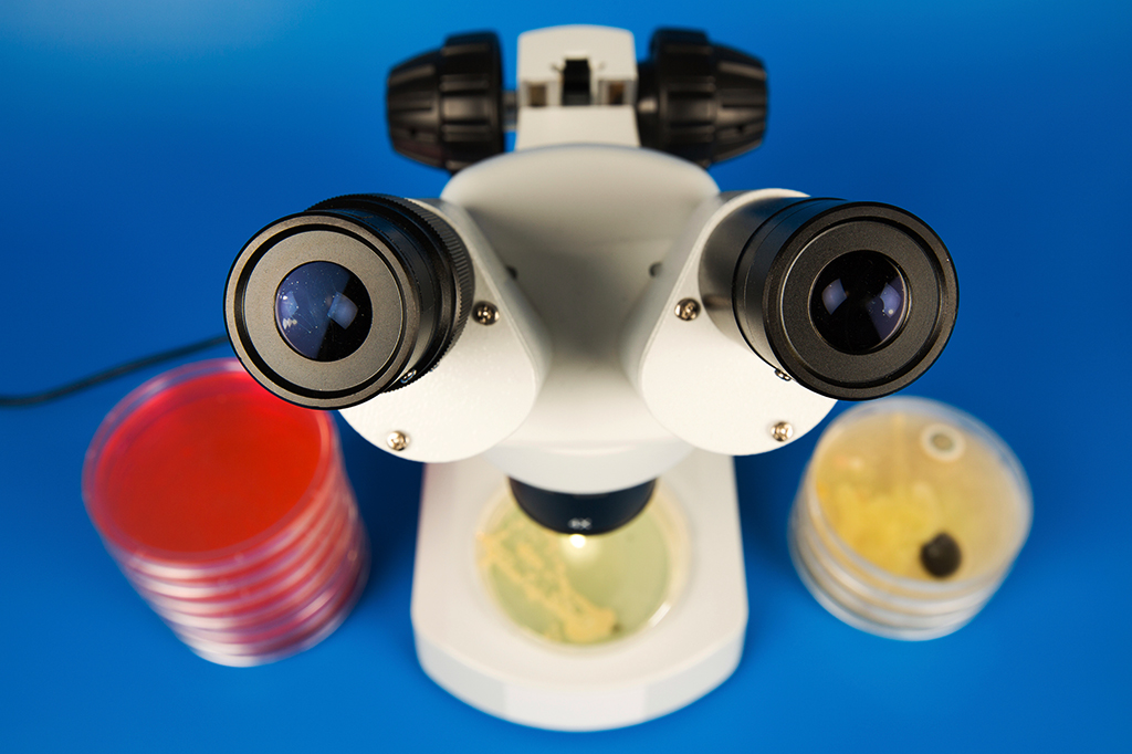 Pareidolia: por que vemos “rostos” em objetos inanimados? Este estudo explica