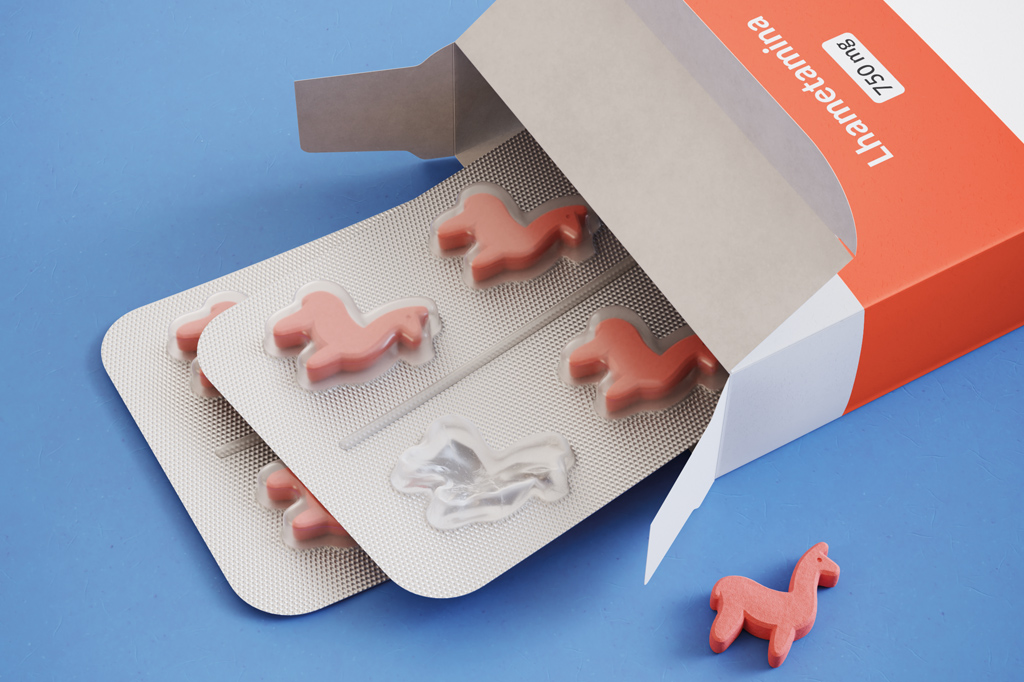 Sangue de lhamas poderia criar tratamento para Covid-19, diz estudo