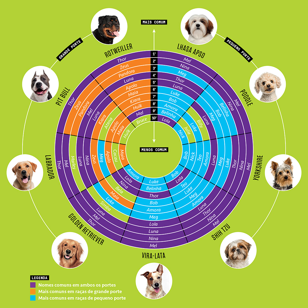 13 nomes de cachorro populares entre os brasileiros