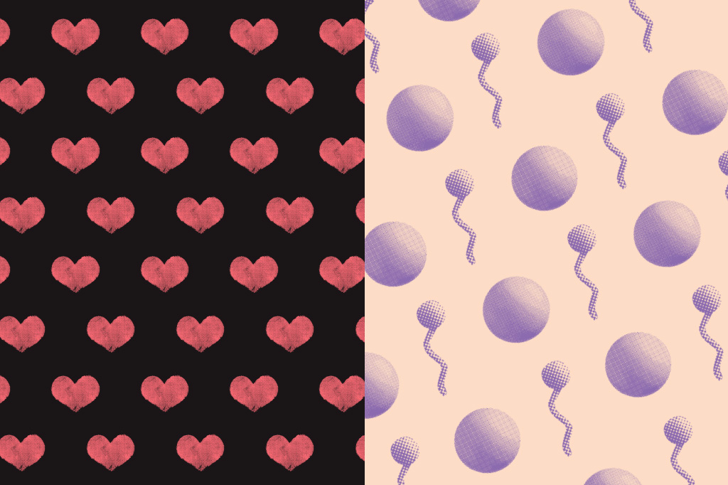 A biologia na guerra dos sexos