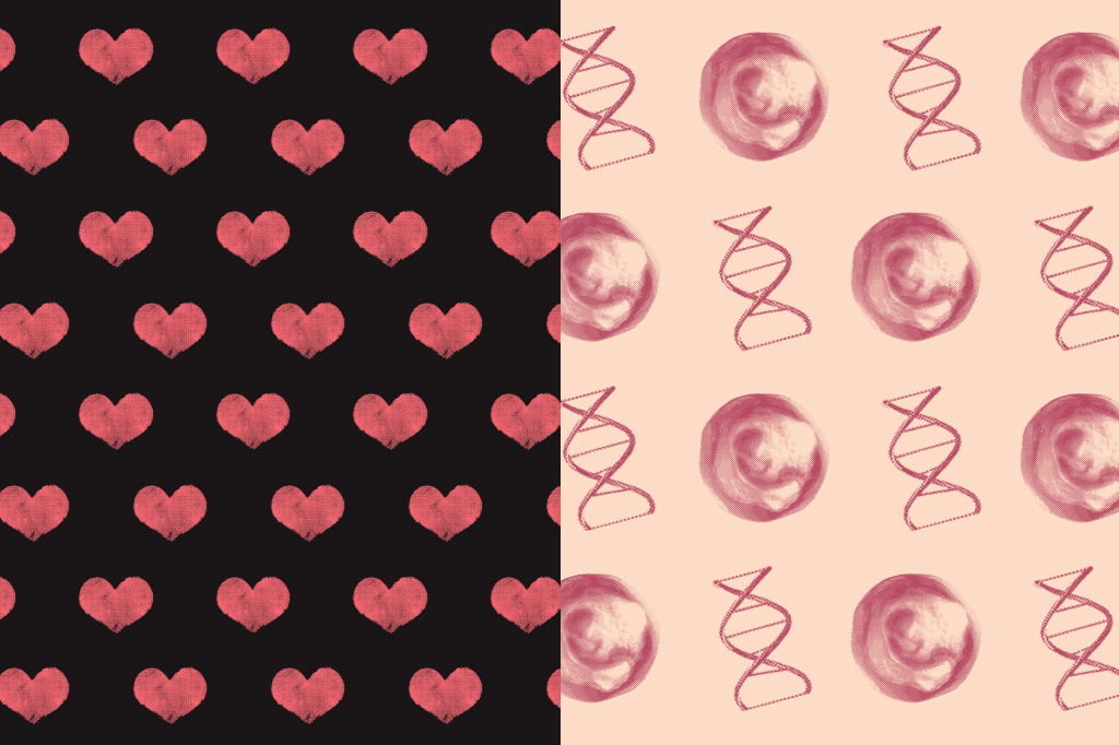 A genética está na raiz do amor