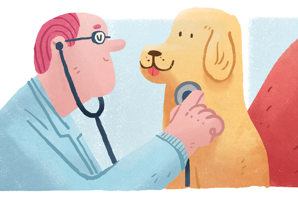 Ilustração de um veterinário examinando um cachorro 