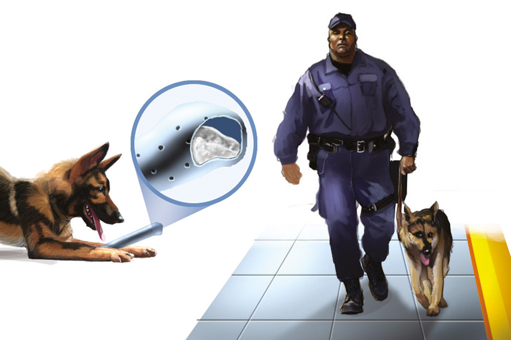 Como é o treinamento dos cães farejadores de drogas?