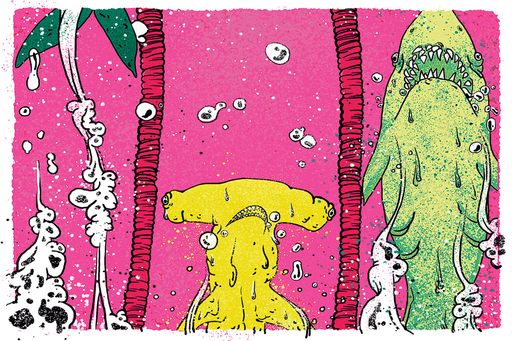 Formato da cabeça faz tubarão-martelo nadar pior