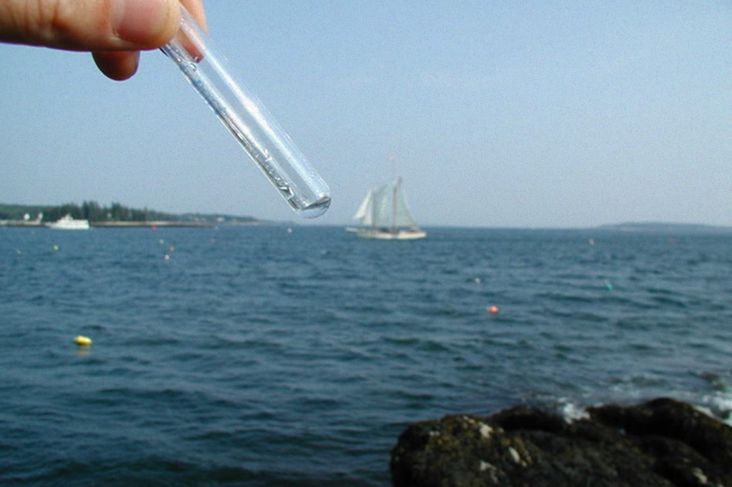 Encontradas primeiras evidências de seres vivos que se alimentam de vírus