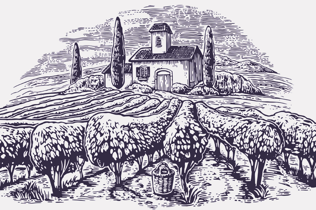 SI_Deus_Cap_2_1 <strong>Agricultura: a descoberta mais transformadora da história da nossa espécie.</strong>