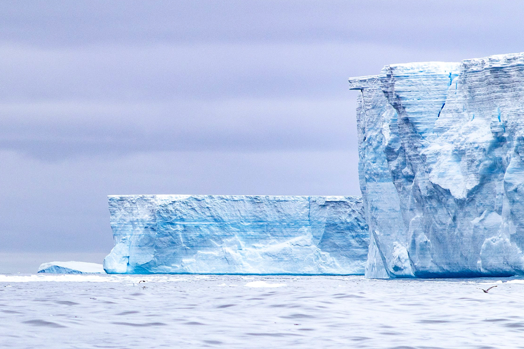 Maior iceberg do mundo está em rota de colisão com a Geórgia do Sul