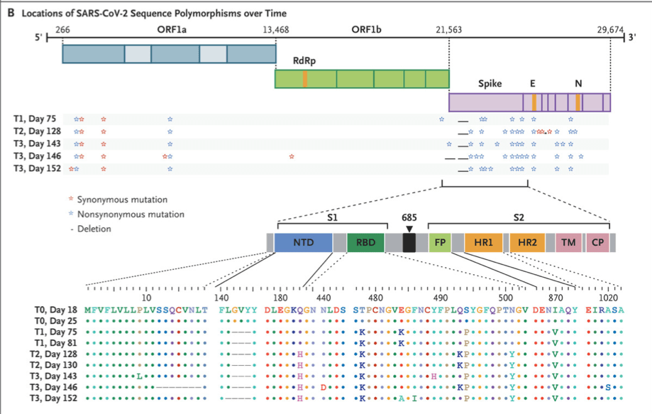 mutações corona – NEJM