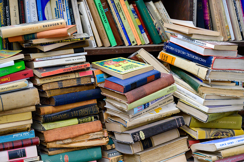 Por que a loja de livros usados se chama “sebo”?