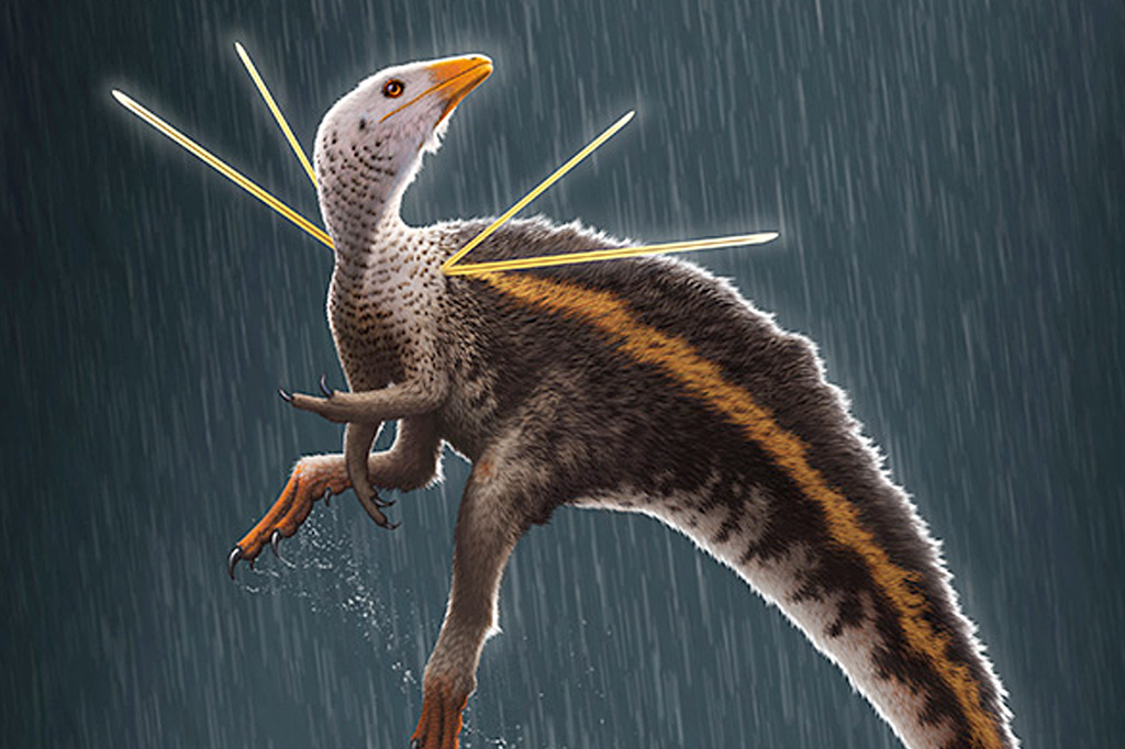 Ilustração do dinossauro Ubirajara jubatus, dino brasileiro.