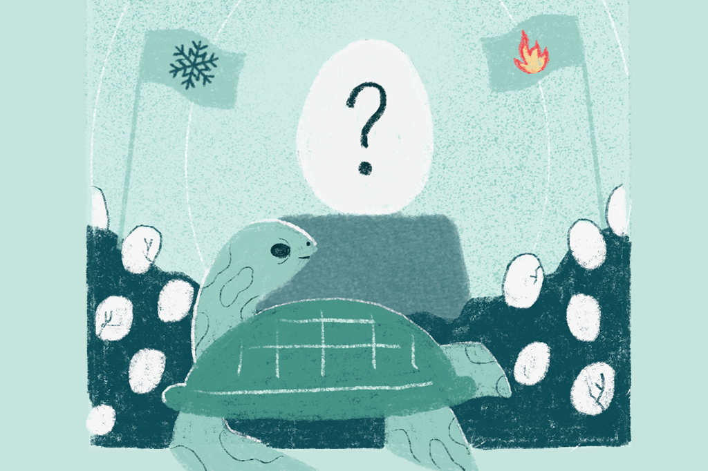 No centro da ilustração há uma tartaruga e um ovo, com ponto de interrogação e estão rodeados de pequenos ovos prestes a quebrar. Do lado esquerdo há uma bandeira com um floco de neve e, do lado direito, uma bandeira com uma chama.