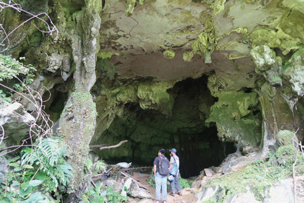 Entrada da caverna Leang Tedongnge.