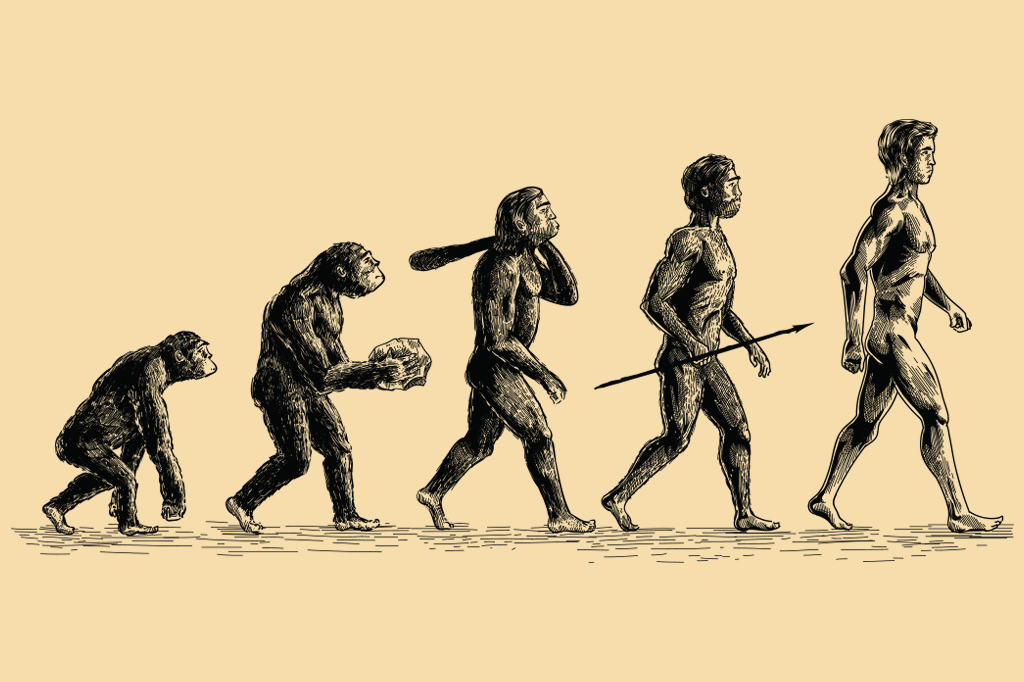 Ilustração da evolução humana.