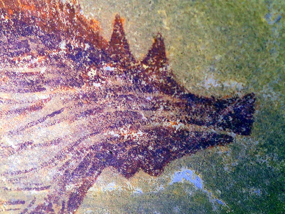 Arte rupestre mais antiga da América do Sul é encontrada em caverna na  Patagônia