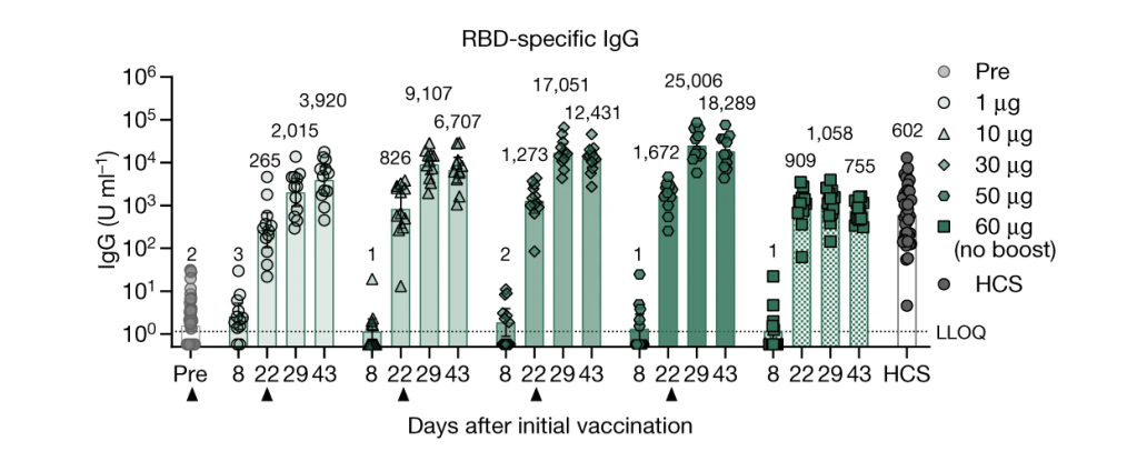 resultados IGG da vacina pfizer