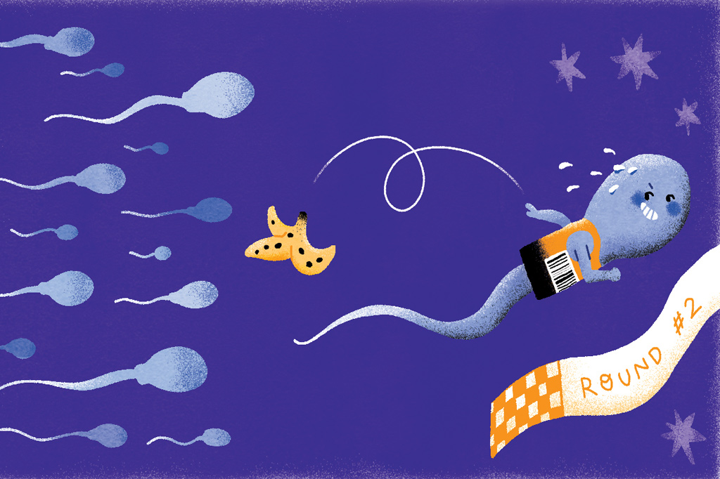 3 notícias sobre… espermatozoides