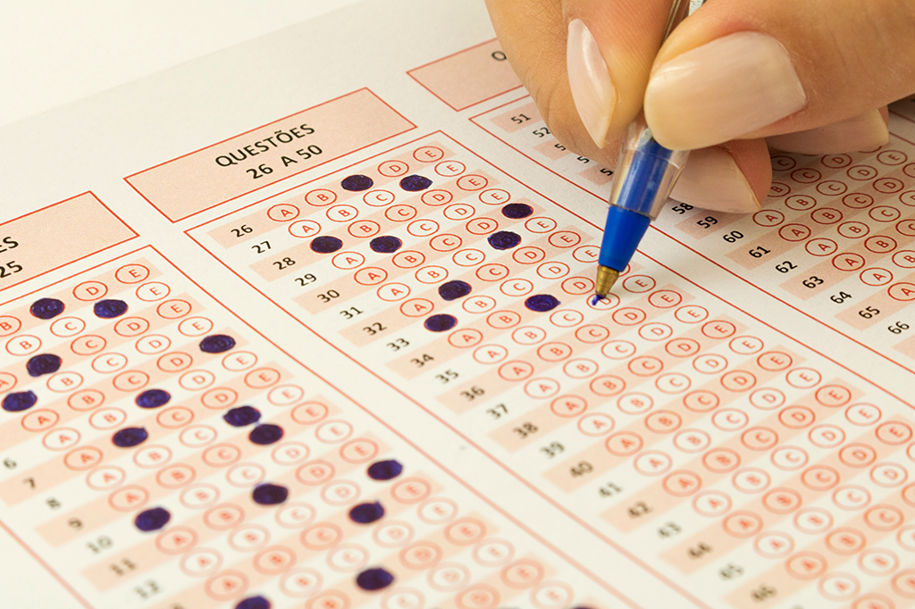 Quais cursos de graduação mais recebem estudantes no Brasil?