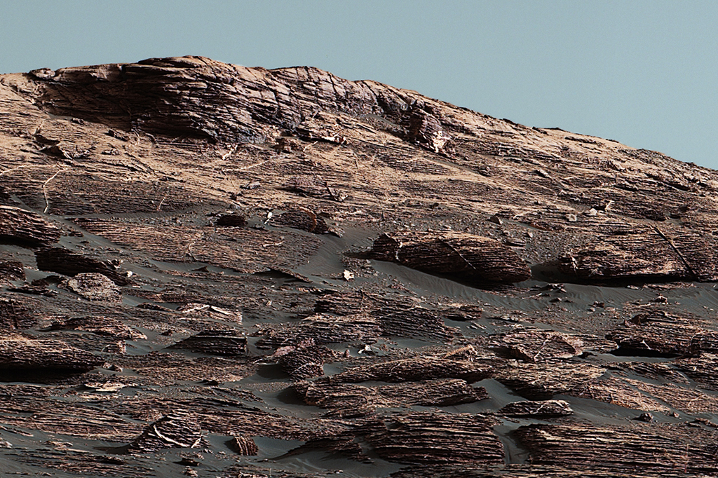 Microrganismos da Terra podem sobreviver temporariamente em Marte, diz estudo