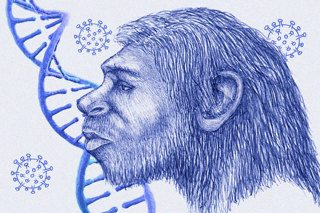 Montagem com a ilustração de um neandertal, uma fita de DNA e três coronavírus.