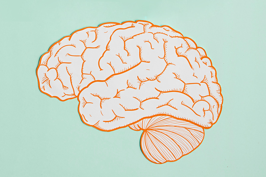 Ilustração de um cérebro, com contorno laranja, sobre um fundo verde claro.