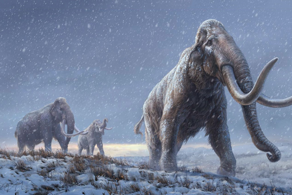 Ilustração de 3 mamutes em uma nevasca.