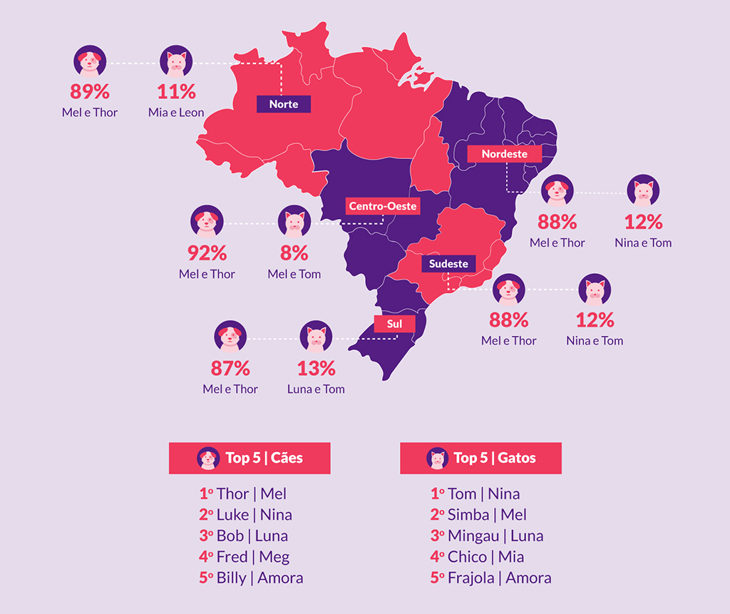 Gráfico do mapa do Brasil, apontando os nomes de cachorros e gatos mais comuns em cada região do país.