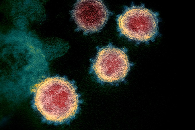 FDA libera teste que procura o coronavírus nas células T
