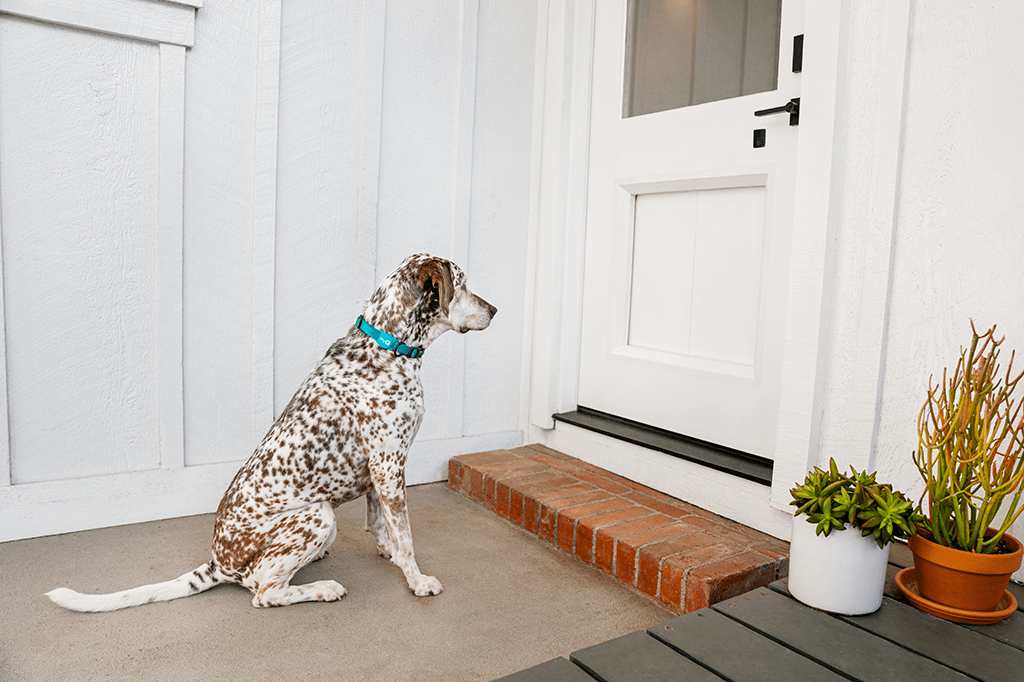 Tech: os 4 gadgets mais interessantes de março