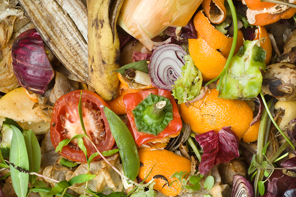 Restos de alimentos.