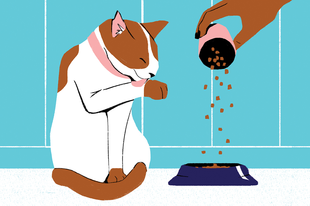 La comida para gatos promete eliminar las alergias humanas