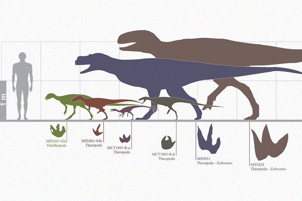 Imagem comparando as pegadas de dinossauros diferentes.