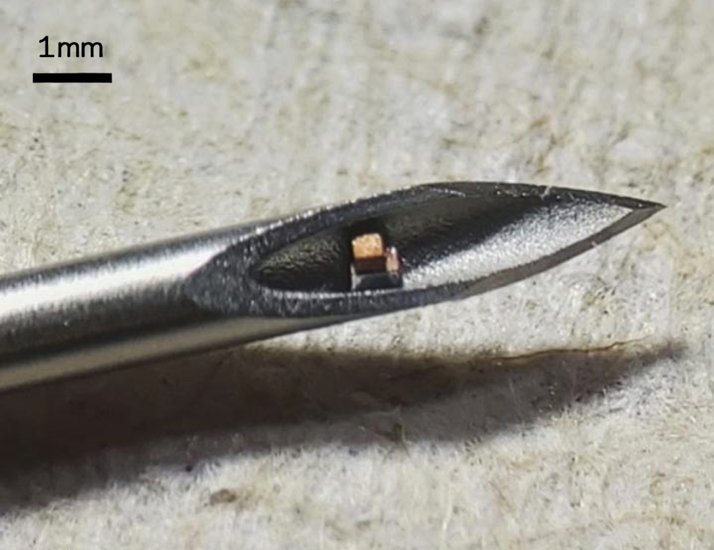 Cientistas criam chip injetável e invisível a olho nu