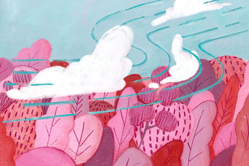 Megaincêndios no Pantanal estão relacionados à Amazônia