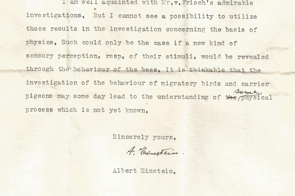 Foto da carta escrita em máquina de escrever e assinada por Einstein.