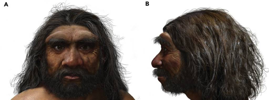 Reconstituição do Homo longi feita por Chuang Zhao.