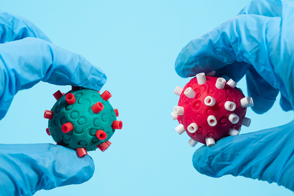 Mãos de luvas segurando duas bolinhas de massinha, com canudos espetados, de modo a parecer o vírus. Uma é vermelha e a outra verde.