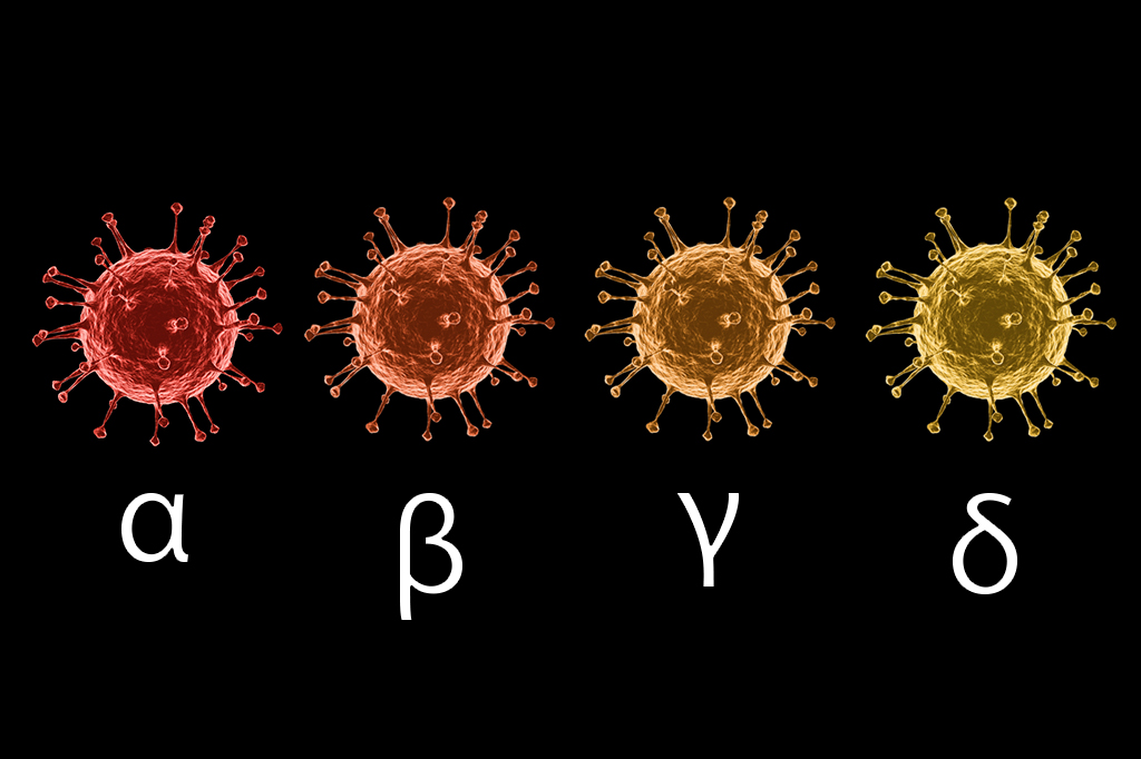 Montagem com 4 coronavírus, um do lado do outro. E, embaixo deles, da esquerda para a direita, as letras alpha, beta, gamma e delta.